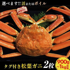 yӂ邳Ɣ[ŁzyIׂ܂I܂̓{Cz^OttKj 22025N11{`2026N3{ɏ\ | I  tKj tI ^Ot 挧Y kh  l