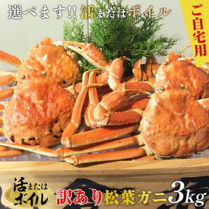 yӂ邳Ɣ[Łz10/1`񕍊z聄yIׂ܂I܂̓{Cz󂠂 tKj܂3kgi5`8j2025N11{`2026N3{ɏ\聦ws | I  tK
