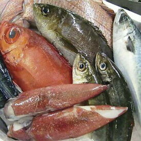 【ふるさと納税】125.鮮魚セット | 魚 いか さば 鯖 海鮮 海鮮セット 詰合せ 鳥取県産 北栄町 おすすめ 人気