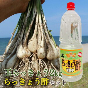 yӂ邳Ɣ[Łz328.ys\zxʂ傤ƘV܂̂傤|Zbg 5{`6{ɏ\ |  傤 Е 挧 kh  lC 