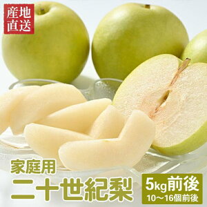 yӂ邳Ɣ[Łz610.ys\zyƒpz\I 5kgO (10`16O) 挧Y  Ȃws2026N8{`9{ɏ\