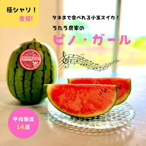 yӂ邳Ɣ[Łzys\z797.ʃXCJ@smEK[i13kgO×3ʁjsikCA{͔z\j2026N6{`7{ɏ\