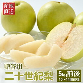 【ふるさと納税】【先行予約】【贈答用】 二十世紀梨 5kg前後 (10個～14個前後) 鳥取県産 ※着日指定不可※2026年8月下旬～9月中旬頃に順次発送予定 | 梨 なし ギフト 5kg 新鮮 2026年 令和8年 二十世紀 鳥取県 北栄町 おすすめ 人気 大容量 国産 送料無料