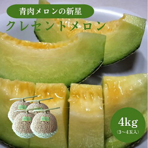 yӂ邳Ɣ[Łz785.ys\z̐VuNZgvꂵI3~4ʓ@2026N7{菇