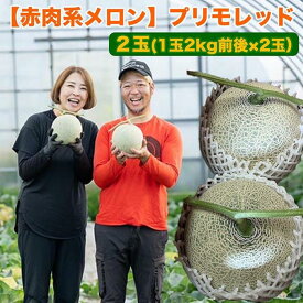 【ふるさと納税】【先行予約】808.【赤肉系メロン】プリモレッド×2玉（1玉2kg前後×2玉）※離島への配送不可 | 先行予約 メロン 果物 くだもの フルーツ メロン 旬 甘い 鳥取県 鳥取 北栄町 おすすめ 人気