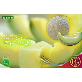 【ふるさと納税】【先行予約】920.【青肉系メロン】ディーバ×2玉（1玉2kg前後×2玉）※離島への配送不可（北海道、沖縄本島は配送可能） | 先行予約 メロン 果物 くだもの フルーツ メロン 旬 甘い 鳥取県 鳥取 北栄町 おすすめ 人気
