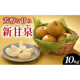 【ふるさと納税】288.新甘泉（しんかんせん）10kg（JA）※2026年8月中旬～9月上旬頃に順次発送予定 | 先行予約 フルーツ 梨 なし ナシ 新甘泉 秋 旬 果物 くだもの 5kg 10kg 鳥取県 北栄町 おすすめ 人気 送料無料 レビュー キャンペーン実施中