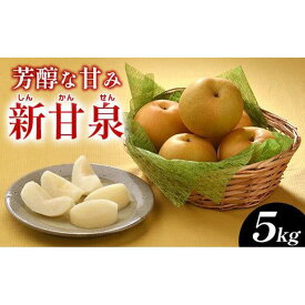 【ふるさと納税】289.新甘泉（しんかんせん）5kg（JA）※2026年8月中旬～9月上旬頃に順次発送予定 | 先行予約 フルーツ 梨 なし ナシ 新甘泉 秋 旬 果物 くだもの 5kg 鳥取県 北栄町 おすすめ 人気 送料無料 レビュー キャンペーン実施中