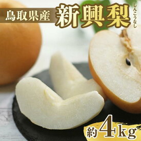 【ふるさと納税】【先行予約】新興梨 秀 約4Kg（4～16玉前後) ※10月～11月下旬頃に順次発送予定 | 梨 なし カロリー 果物 フルーツ くだもの 栄養 効能 ビタミン 鳥取県 鳥取 北栄町 おすすめ 人気 送料無料　