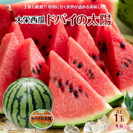【ふるさと納税】【先行予約】【JA】大栄西瓜「ドバイの太陽」秀3L×1玉 ※着日指定不可 ※離島への配送不可 ※2026年6月中旬頃～7月中旬頃に順次発送予定 | 西瓜 大栄スイカ スイカ 果物 フルーツ くだもの 鳥取県 北栄町 おすすめ 人気 送料無料