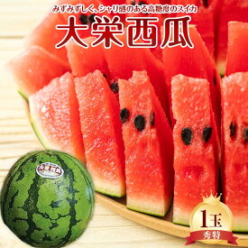 【ふるさと納税】734.【先行予約】【JA】大栄西瓜 秀特×1玉　※着日指定不可　※離島への配送不可　※2026年6月中旬頃～7月中旬頃に順次発送予定 | 西瓜 大栄スイカ スイカ 果物 フルーツ くだもの 鳥取県 北栄町 おすすめ 人気 送料無料