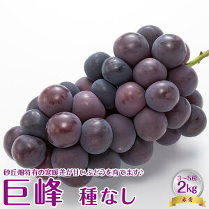 yӂ邳Ɣ[Łzys\zyJAz@iȂjԏG2kgi3`5[j@ws@ւ̔zs@2026N8{`8{ɏ\