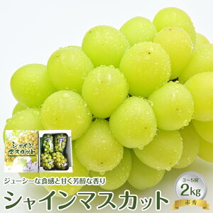 �y�ӂ邳�Ɣ[�Łz�y��s�\��zJA �V���C���}�X�J�b�g �ԏG2kg���i3�`5�[���j�������w��s�� �������ւ̔z���s�� ��2026�N9�����{���`9�����{���ɏ��������\�� | �V���C���}�X�J�b�g �}�X�J�b