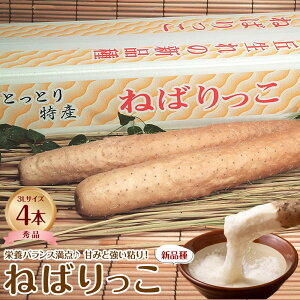 �y�ӂ邳�Ɣ[�Łz742.�yJA�z�˂΂�����@�G3L×4�{�@�������w��s�@�������ւ̔z���s�@�����������\�� | �˂΂���� ���� ������ ��� �₳�� �Ƃ�� ���� �� �h�{ �h�{���_ �r�^�~�� �~�l