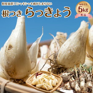 �y�ӂ邳�Ɣ[�Łz747.�y��s�\��z�yJA�z���t������傤�@�GM�E5kg���@�������w��s�@�������ւ̔z���s�@��2026�N5�����{���`6�����{���ɏ��������\�� | ������傤 ���b�L���E �������