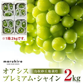 【ふるさと納税】【先行予約】オアシスプレミアムシャイン 約2kg 3房（鳥取砂丘地栽培）※2026年8月下旬頃～10月下旬頃に順次発送 | オアシスプレミアムシャイン シャインマスカット 2キロ シャインマスカット 葡萄 ぶどう 産地直送 フルーツ 果物 甘い 人気 鳥取県産 北栄町