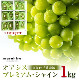 【ふるさと納税】563.【先行予約】オアシス・プレミアム・シャイン 1kg（鳥取砂丘地栽培）※2025年8月下旬頃～10月下旬頃に順次発送 | シャインマスカット マスカット 葡萄 ブドウ ぶどう 産地直送 フルーツ 果物 甘い 鳥取県 北栄町 おすすめ 人気