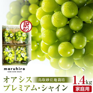 �y�ӂ邳�Ɣ[�Łz915.�y��s�\��z�V���C���}�X�J�b�g�V���C���}�X�J�b�g �󂠂� �ƒ�p ���捻�u�n�Y 1.4kg�i350g×4�p�b�N�j �������ւ̔z���s�� ��2026�N8�����{�`10�����{���ɏ��������\�� |