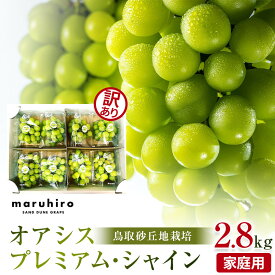 【ふるさと納税】914.【先行予約】シャインマスカット 訳あり 家庭用 鳥取砂丘地産 2.8kg（350g×8パック） ※離島への配送不可 ※2026年8月下旬頃～10月下旬頃に順次発送 | オアシスプレミアムシャイン マスカット 葡萄 ブドウ フルーツ 果物 甘い 家庭用