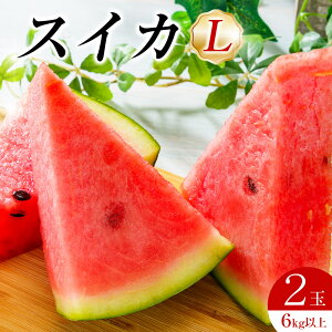 �y�ӂ邳�Ɣ[�Łz242.�y��s�\��z�X�C�JL 2�� 6kg�ȏ�2�� ��6����{�`8�����{���ɏ��������\��i������̕ԗ�i�́A��h���Z�ł͂���܂���j | ���Z �X�C�J �ʕ� �t���[�c �������� ���挧 