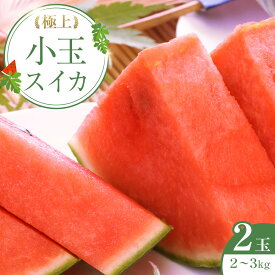 【ふるさと納税】248.【先行予約】極上小玉スイカ 2玉 ※6月上旬～8月中旬頃に順次発送予定 | 西瓜 スイカ 小玉西瓜 果物 フルーツ くだもの 鳥取県 北栄町 おすすめ 人気 送料無料