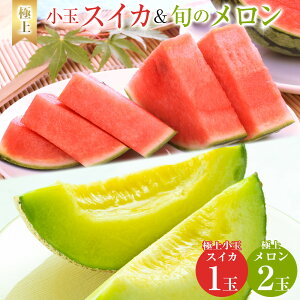 yӂ邳Ɣ[Łz254.ys\zɏ㏬ʃXCJƏ{̃2ʃZbg 6{`7{ɏ\ | Z XCJ ʐZ  Zbgi ʕ t[c  挧 k