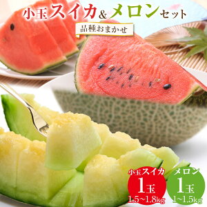 yӂ邳Ɣ[Łz255.ys\zyi͂܂zʃXCJ1ʂƃ1ʃZbg 6{`7{ɏ\ | Z XCJ  Zbgi ʕ t[c  挧