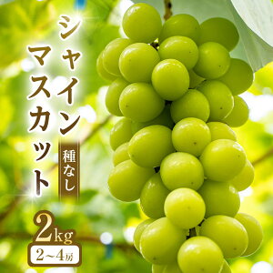 �y�ӂ邳�Ɣ[�Łz�y��s�\��z�V���C���}�X�J�b�g(�햳��) 2kg�O�� ��2026�N8�����{�`9�����{���ɏ��������\�� | ��s�\�� �V���C���}�X�J�b�g �}�X�J�b�g ���� �Ԃǂ� �ʕ� �t���[�c ������