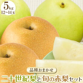 【ふるさと納税】282.【先行予約】二十世紀梨と旬の赤梨セット 5kg ※2026年8月下旬～9月下旬頃に順次発送予定 | 先行予約 梨 なし 果物 フルーツ くだもの 鳥取県 北栄町 おすすめ 人気 送料無料