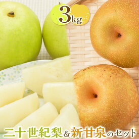 【ふるさと納税】【先行予約】二十世紀梨と新甘泉のセット ※2026年8月下旬～9月下旬頃に順次発送予定 | 梨 なし 果物 フルーツ くだもの 鳥取県 北栄町 おすすめ 人気