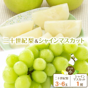 yӂ邳Ɣ[Łz286.ys\z\IƃVC}XJbg̃Zbg  8{`9{ɏ\ | s\  Ȃ ʕ t[c  挧 kh  l