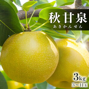 �y�ӂ邳�Ɣ[�Łz294.�y��s�\��z�H�Ð� 3kg�O��i3�`11�ʑO��) ��2026�N9�����{�`9�����{���ɏ��������\�� | ��s�\�� �� �Ȃ� �ʕ� �t���[�c �������� ���挧 �k�h�� �������� �l�C ��������