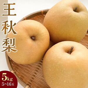 yӂ邳Ɣ[ŁzIׂeʁ  H 3kg 5kg 挧Y 2025N10{`12{ɏ\ | s\  Ȃ J[ ʕ t[c  h{ \ r^~ 挧 