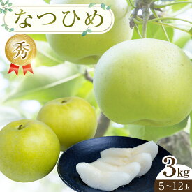 【ふるさと納税】300.【先行予約】なつひめ ※2026年8月中旬～9月上旬頃に順次発送予定 | 先行予約 梨 なし 果物 フルーツ くだもの 鳥取県 北栄町 おすすめ 人気 送料無料