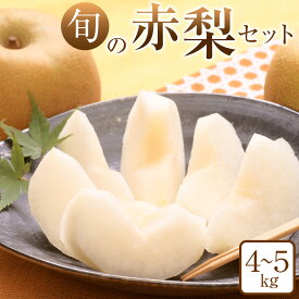 【ふるさと納税】旬の赤梨セット 4～5kg前後 ※2026年8月下旬～12月下旬頃に順次発送予定 | 先行予約 梨 なし 幸水 秋栄 豊水 新甘泉 しんかんせん 秋甘泉 新高 王秋 あたご梨 果物 フルーツ くだもの 栄養 効能 ビタミン 鳥取県 鳥取 北栄町 おすすめ 人気 送料無料