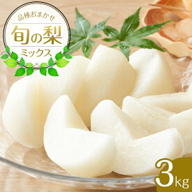 【ふるさと納税】308.【先行予約】【品種はおまかせ】旬の梨ミックスセット 3kg ※2025年8月下旬～12月下旬頃に順次発送予定 | 先行予約 梨 なし 果物 フルーツ くだもの 鳥取県 北栄町 おすすめ 人気 送料無料