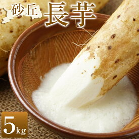 【ふるさと納税】322.【先行受注】砂丘長芋 5kg ※2025年11月上旬～2026年3月下旬頃に順次発送予定 | 先行予約 野菜 やさい 根菜 とろろ 長芋 芋 国産 いも 鳥取県 北栄町 おすすめ 人気 送料無料