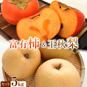 yӂ邳Ɣ[ŁzIׂeʁ `  xL`ƉH̃Zbg 3kg ` 5kg@2025N11{`12{ɏ\ | s\  Ȃ ` JL t[c Yn ʕ Ĥ 