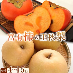 yӂ邳Ɣ[Łzys\zxL`ƉH̃Zbg G 4kgȏ`4.5kg@2025N11{`12{ɏ\ | s\  Ȃ ` JL t[c ʕ  r^~ h{ 