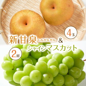 yӂ邳Ɣ[Łz536.ys\zVÐ4ʂƃVC}XJbg2[ 8{`9{ɏ\ | s\ VC}XJbg }XJbg  Ԃǂ  Ȃ ʕ t[c 