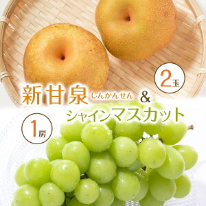 yӂ邳Ɣ[Łz538.ys\zVÐ2ʂƃVC}XJbg1[ 8{`9{ɏ\ | s\ VC}XJbg }XJbg  Ԃǂ  Ȃ ʕ t[c 