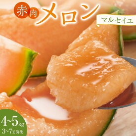 【ふるさと納税】782.【先行予約】赤肉メロン「マルセイユ」※着日指定不可 ※5月20日～6月30日頃に順次発送予定 | メロン 果物 フルーツ くだもの 鳥取県 北栄町 おすすめ 人気 送料無料