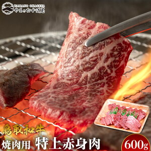 yӂ邳Ɣ[Łz55.a ēpԐg 600g | | Y a a  I   ē Ă Ԃ XCX lC  ɂ 󂠂 Mtg 挧 kh 