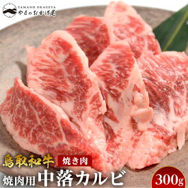 【ふるさと納税】57.鳥取和牛 焼肉用 中落カルビ 300g | | 国産 和牛 鳥取和牛 肉 厳選 希少 カルビ 特上 焼肉 すき焼き じゃぶしゃぶ スライス 人気 肉 にく 訳あり ギフト 鳥取県 北栄町 送料無料おすすめ 人気