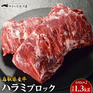 yӂ邳Ɣ[Łz62.挧Y n~ubN 650g×2pbN | | Y  I  n~  ē Ă Ԃ XCX lC  ɂ 󂠂 Mtg 挧 kh 