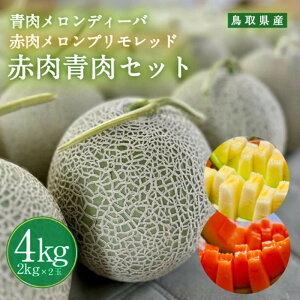 yӂ邳Ɣ[Łz956.yӂ邳Ɣ[ŁzfB[oƐԓvbh̃Zbg {Sz\ 2025N10{`11{ɏ\