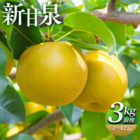 【ふるさと納税】【先行予約】選べる！新甘泉　3kg前後～5kg前後（3～18玉前後） ※2026年8月中旬～9月中旬頃に順次発送予定 | 梨 なし 新甘泉 しんかんせん 果物 フルーツ 3kg 5kg 新鮮 人気 おすすめ 鳥取県産 北栄町 内容量 選べる