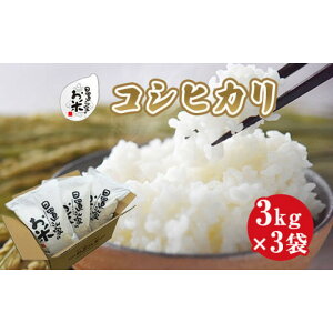 yӂ邳Ɣ[ŁzyeʂIׂzߘa7NYV RVqJ   8kg 9kg 10kg uƂ̂ |   uh 挧Y ͂  ɂ ٓ 2025NY RVqJ  