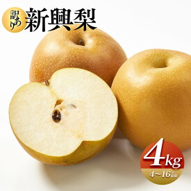 【ふるさと納税】【先行予約】【訳あり】新興梨 4kg（4～16玉前後）※2026年10月上旬～11月下旬頃に順次発送予定 | 梨 なし果物 フルーツ くだもの 鳥取県 鳥取 北栄町 おすすめ 人気