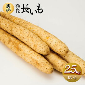 【ふるさと納税】943.【訳あり】砂丘長いも2.5kg 長芋 ながいも 鳥取県産 ※11月上旬頃～3月下旬頃に順次発送予定 | 野菜 やさい 根菜 とろろ 長芋 芋 いも 鳥取県 北栄町 おすすめ 人気 送料無料
